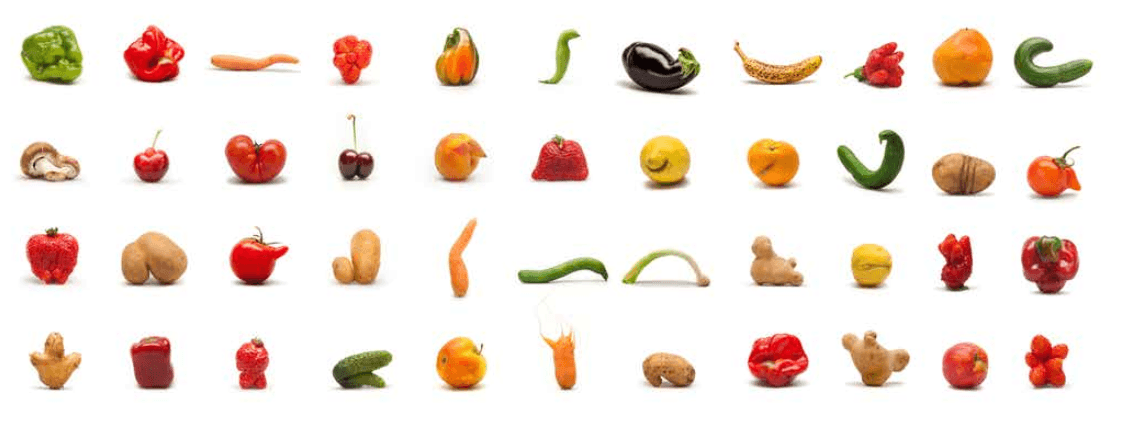 StartUp Talk München: ugly fruits vs. Verschwendung von Lebensmitteln