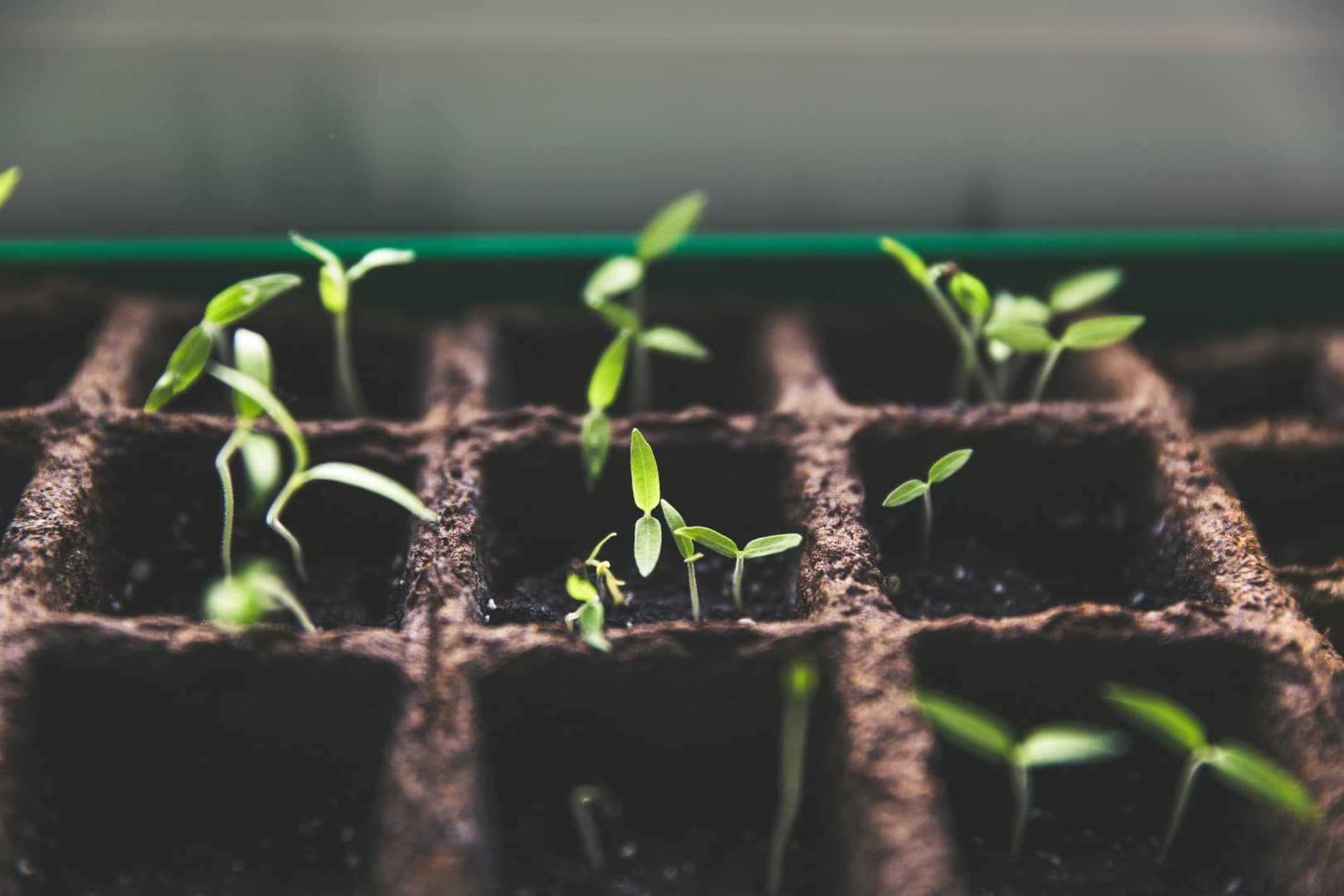 Holtzbrinck Ventures startet Seed-Programm