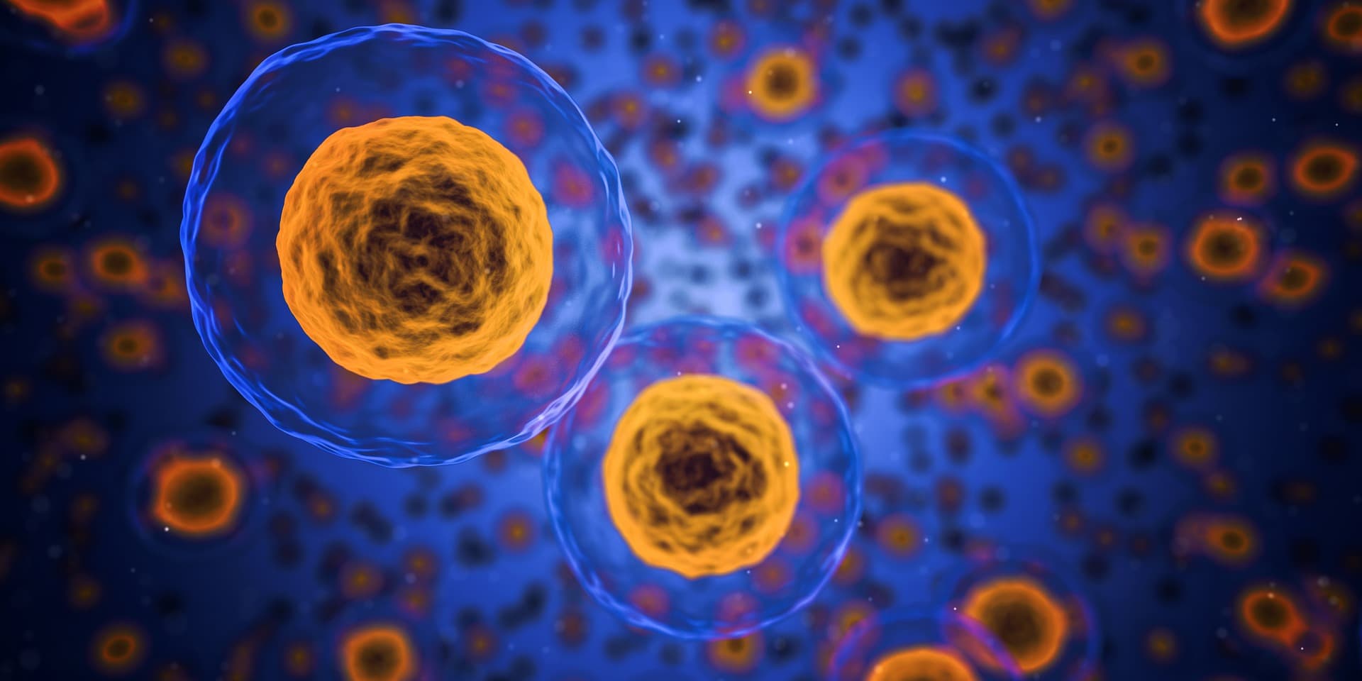 Zwei Münchner Startups gewinnen bei Biovaria 2019
