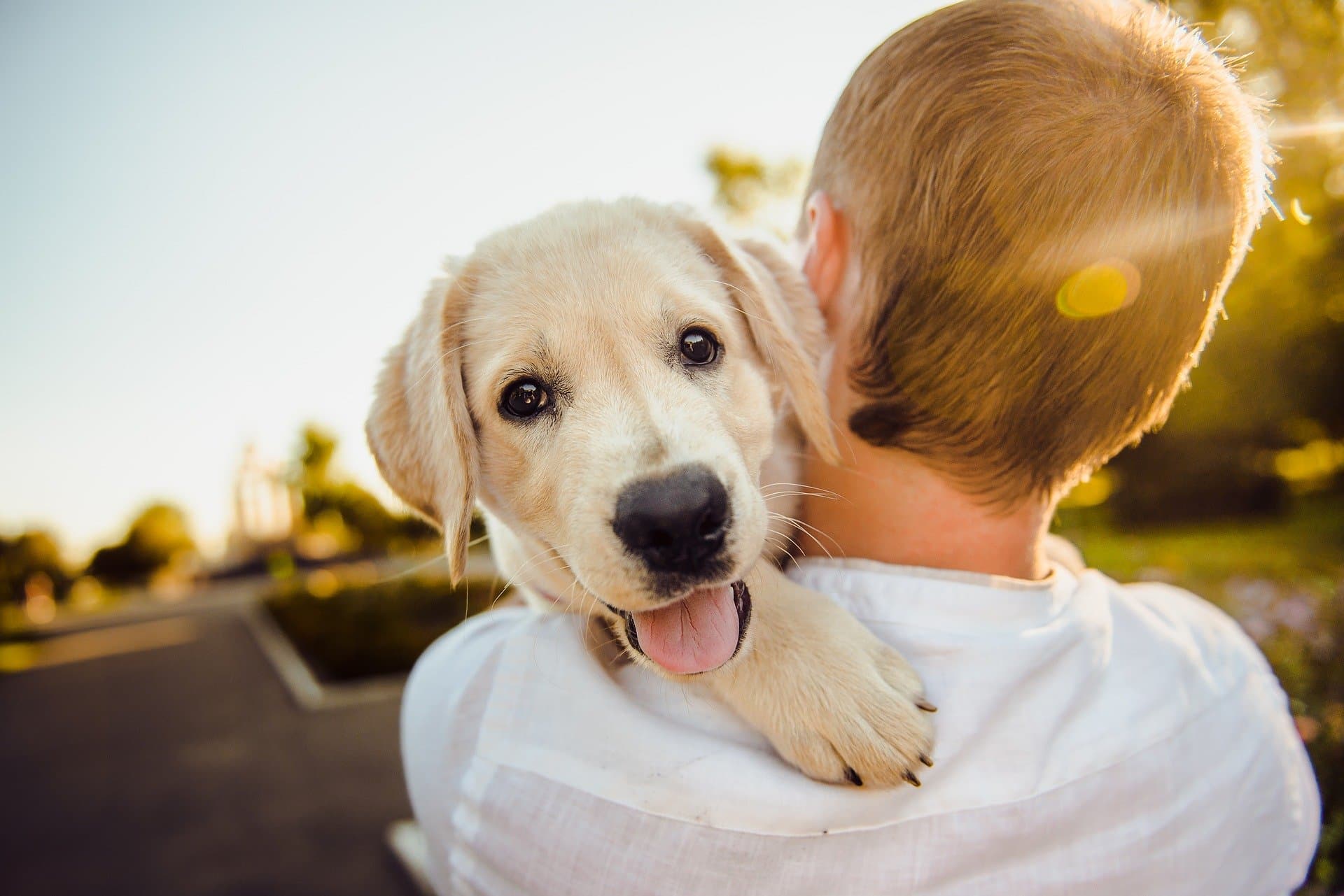 Vegdog gewinnt Katjesgreenfood als Investor