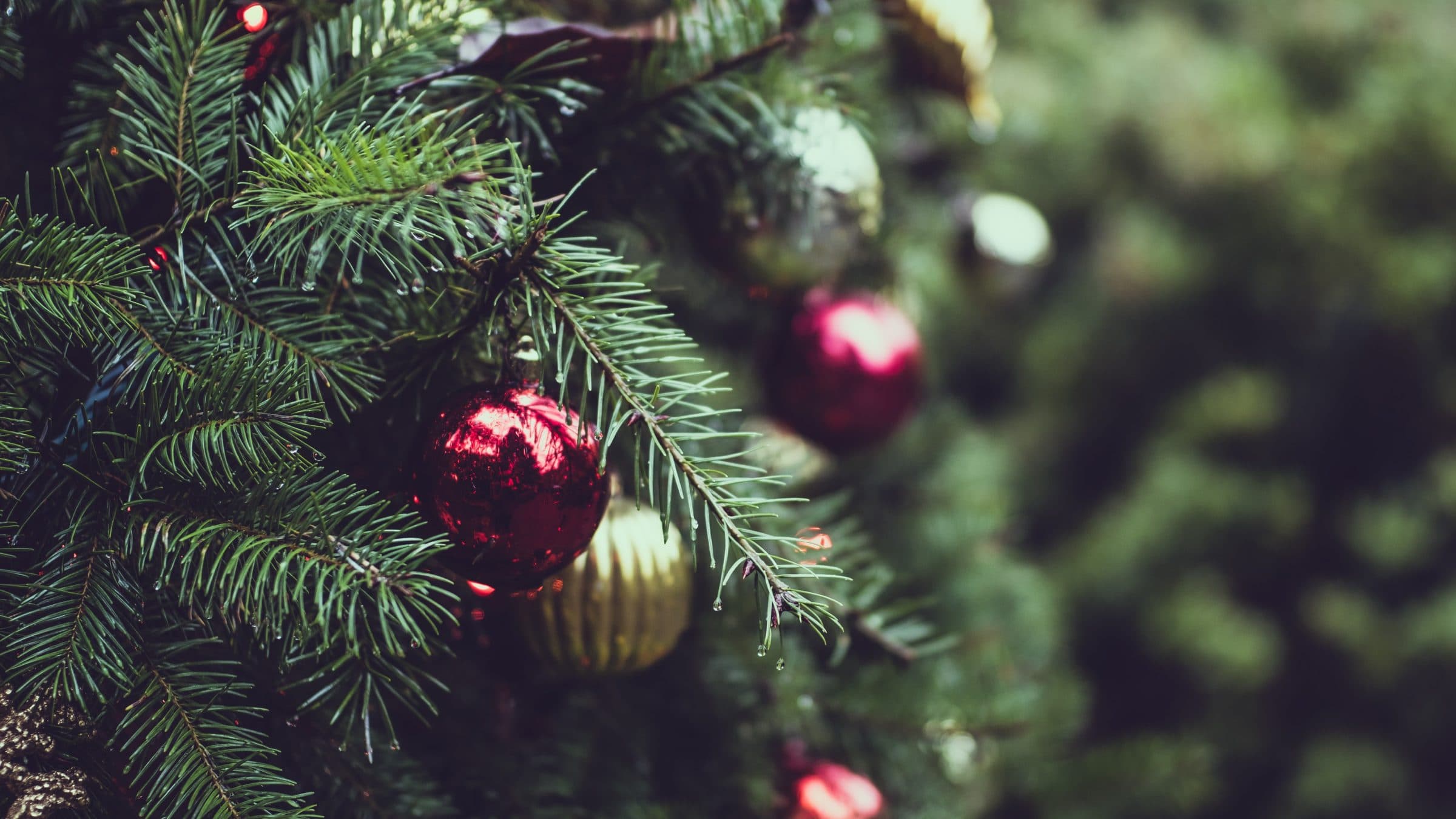 Frohe Weihnachten!