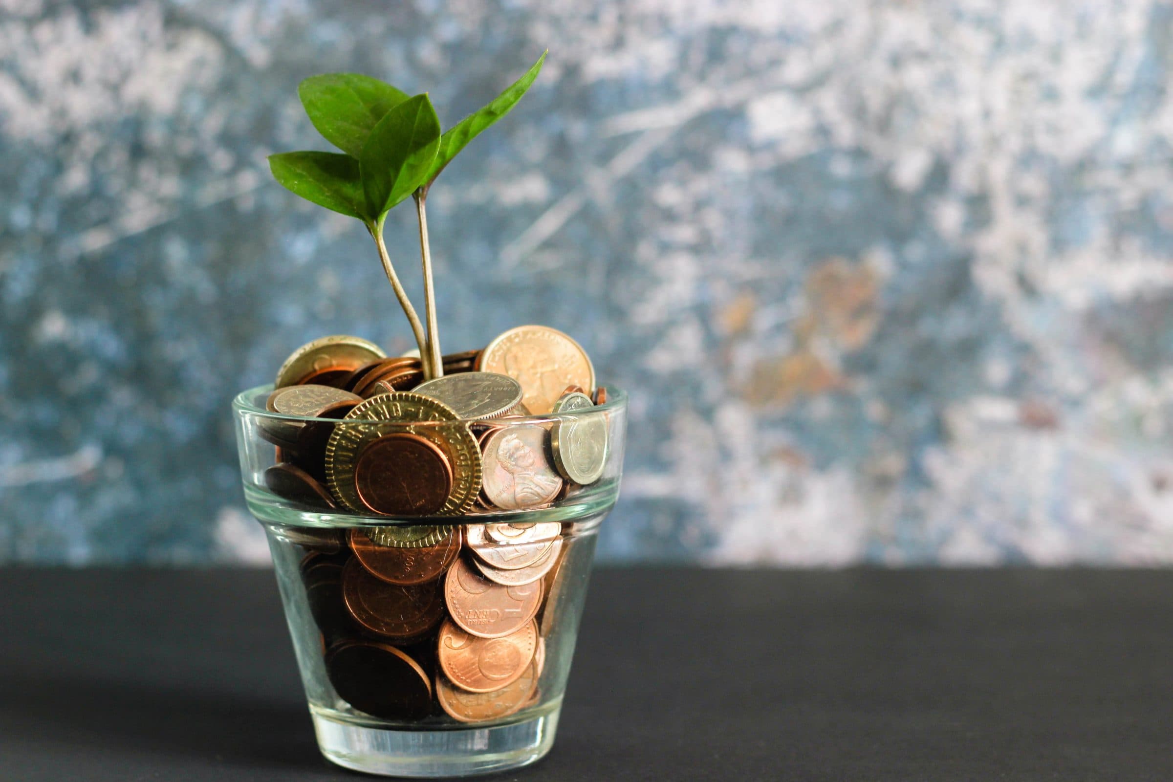 Lernen & investieren mit diesen Münchner Finanzbildungs-Startups