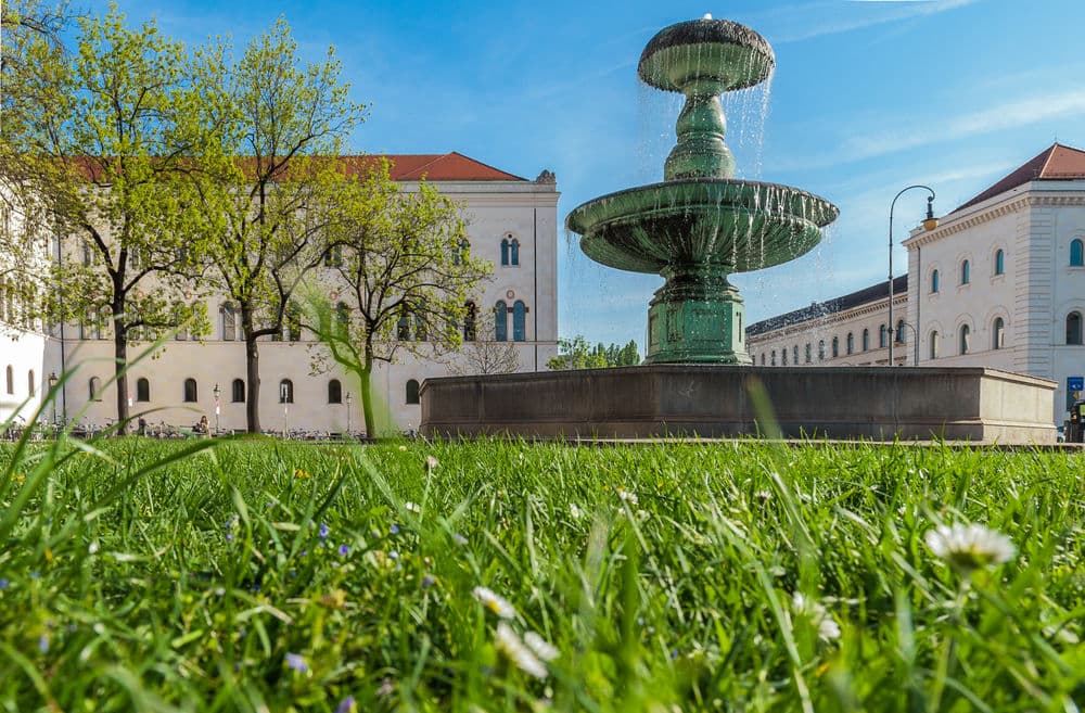 QS World University Rankings: TUM und LMU bleiben beste Universitäten Deutschlands