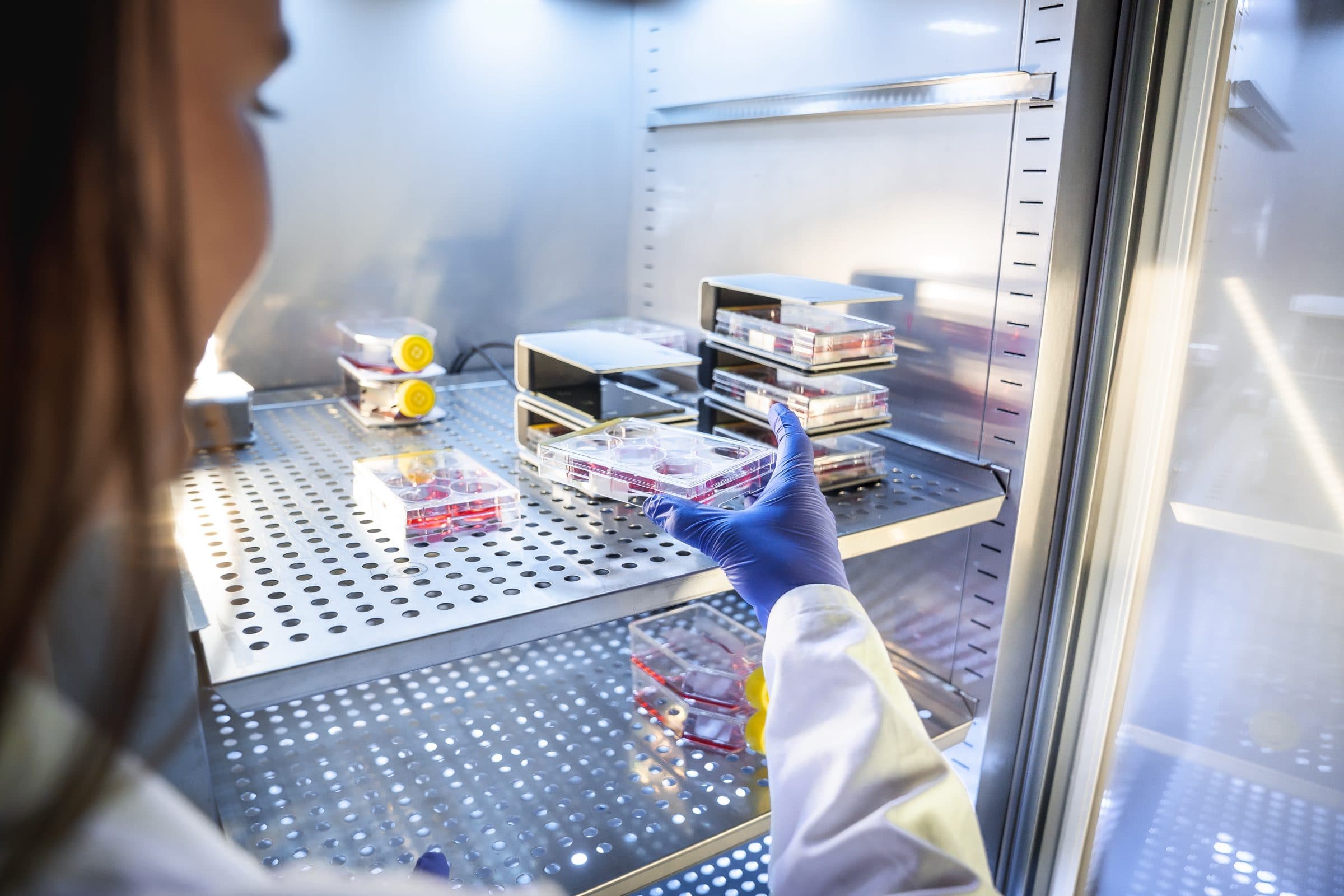 Phio Scientific: KI für effizientere Zellanalyse
