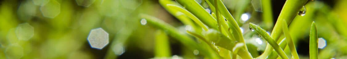 Air2Growth