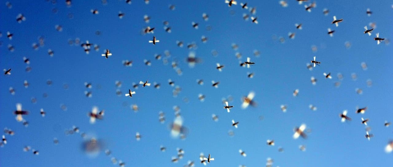 Crowdinvesting: Risiko und Rendite hängen vom Segment ab