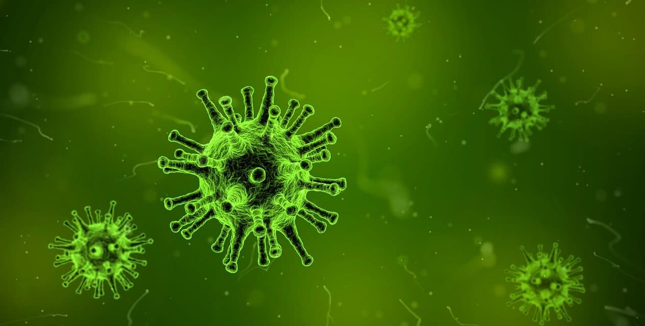 Immunic erweitert Investitionsrunde um vier Millionen Euro