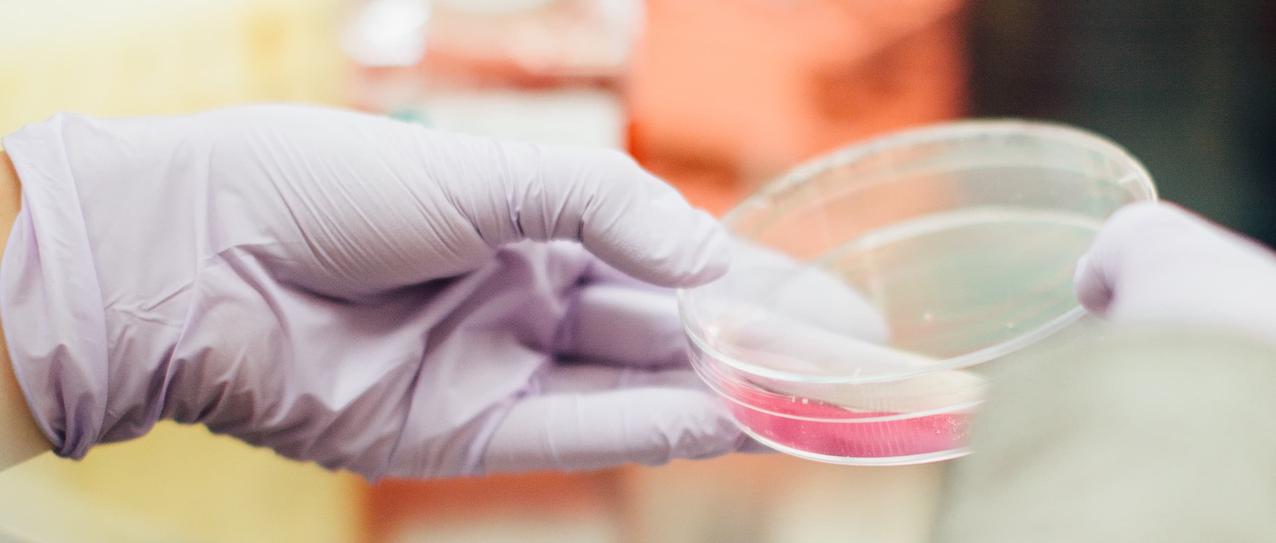Biovaria sucht Startups für Pitch & Partner Programm