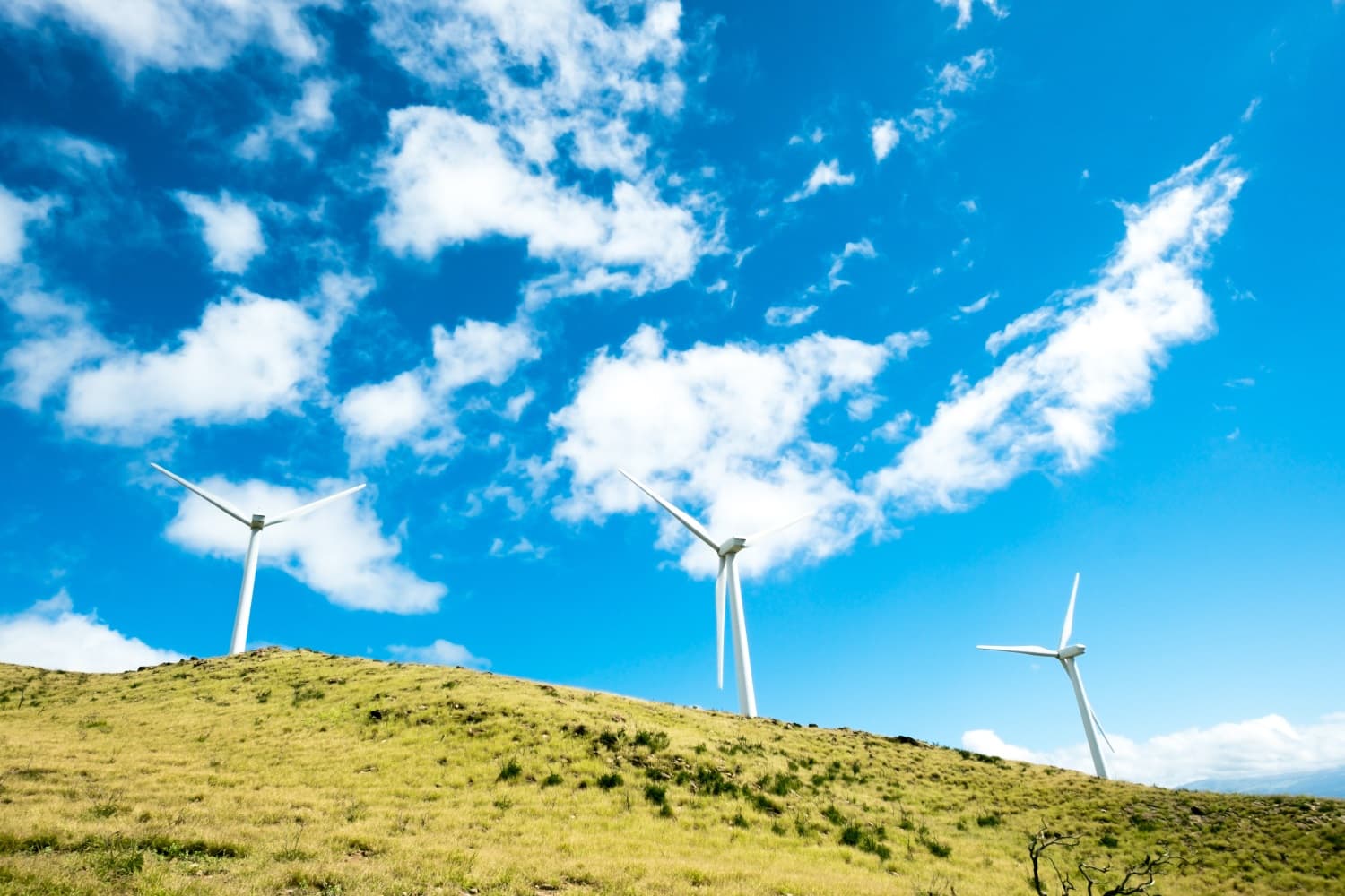 Wettbewerb Start Up Energy Transition: Vorreiter in Sachen Energiewende gesucht