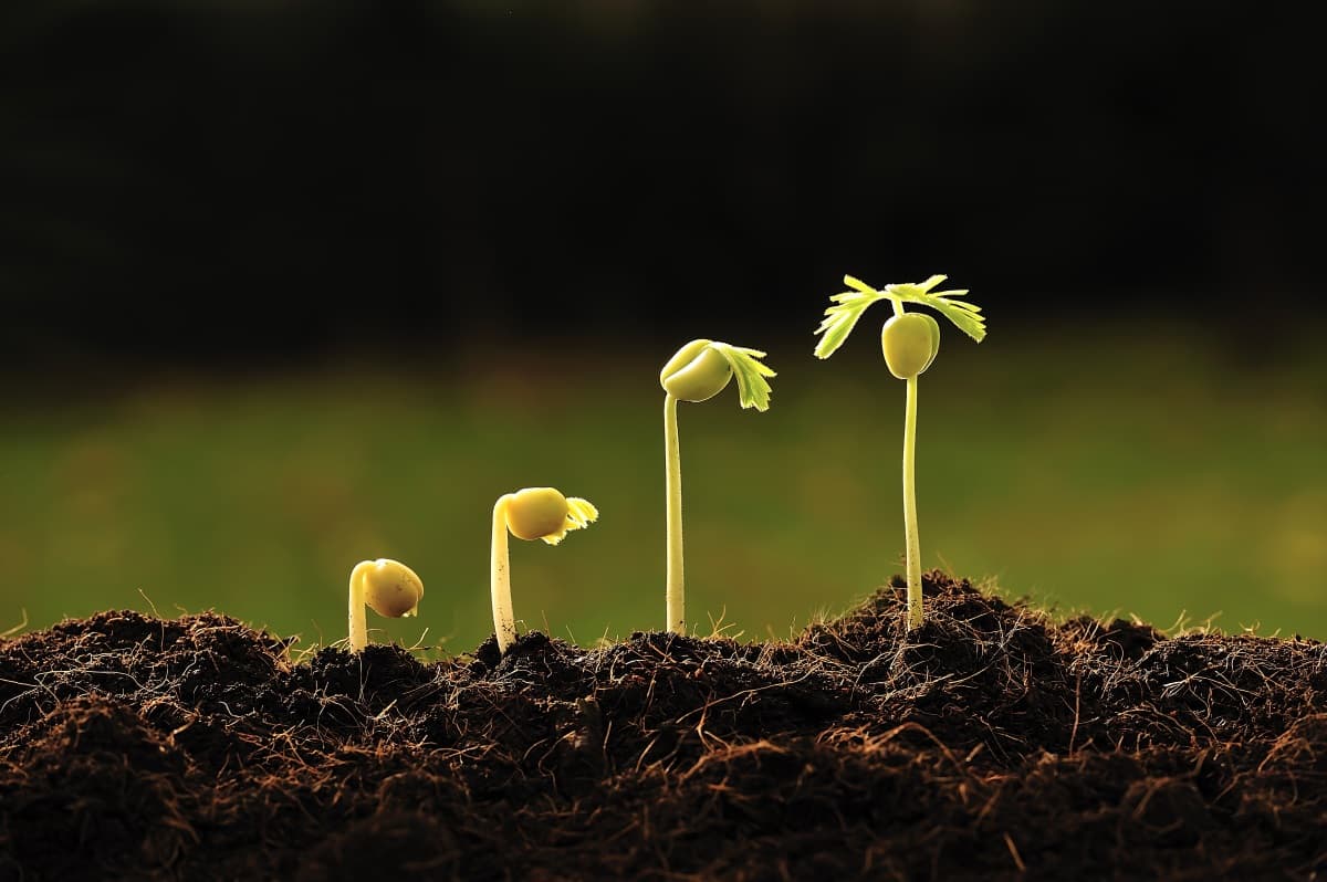 Businessplanphase des Science4Life Venture Cup startet