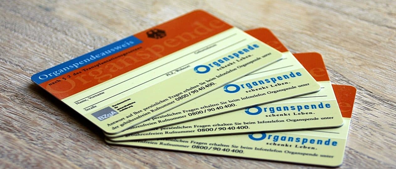 Wettbewerb „Organersatz aus dem Labor“ startet
