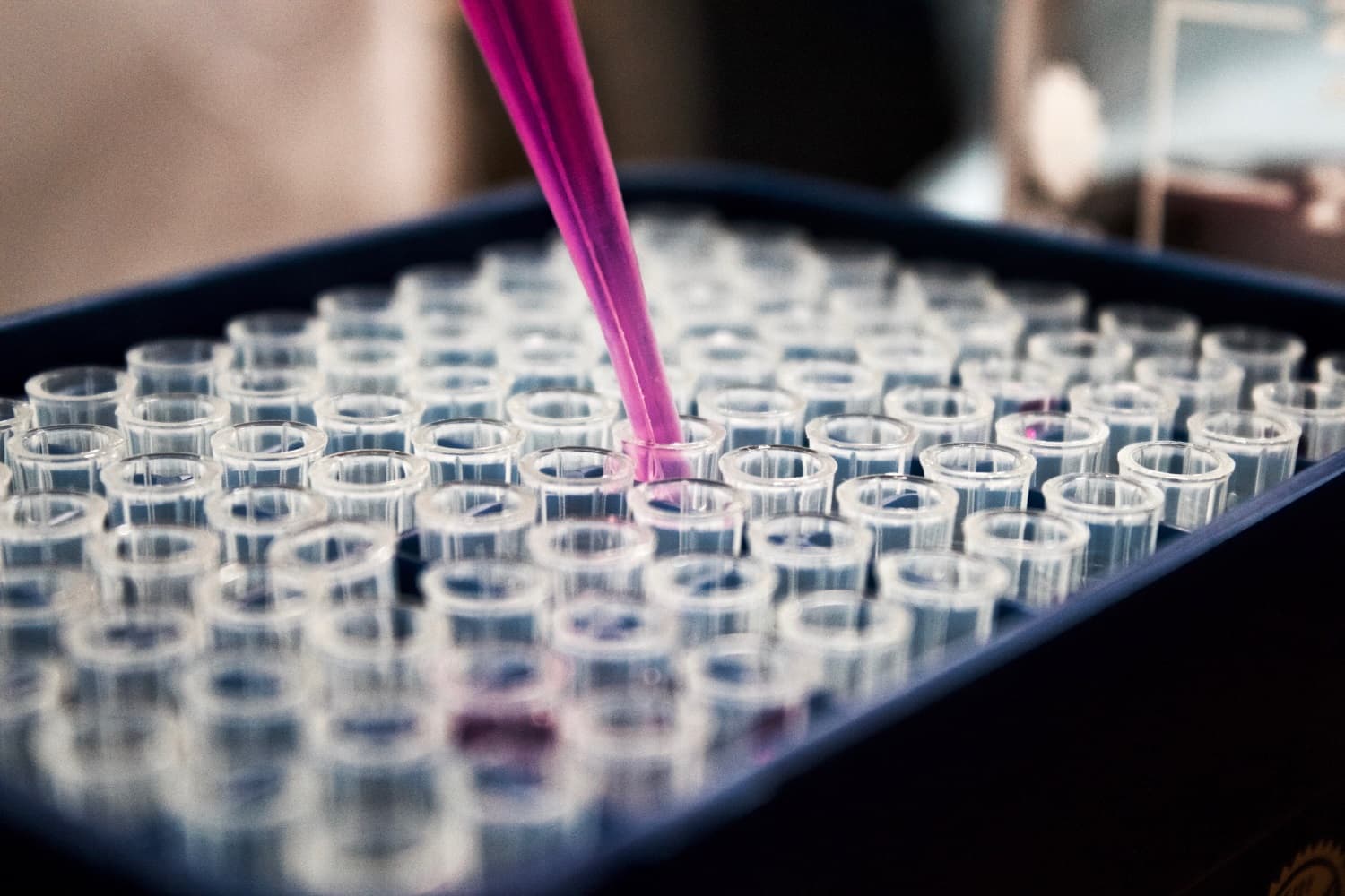 Startups aufgepasst: Jetzt für das Catalyst Grant Stipendium bewerben!