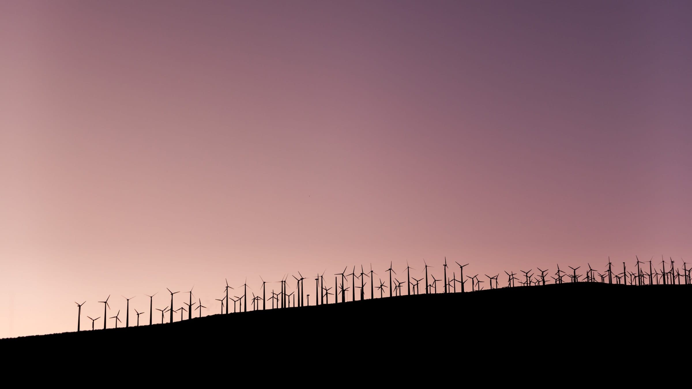 Green Startup Monitor 2020: Optimistischer Blick in die Zukunft