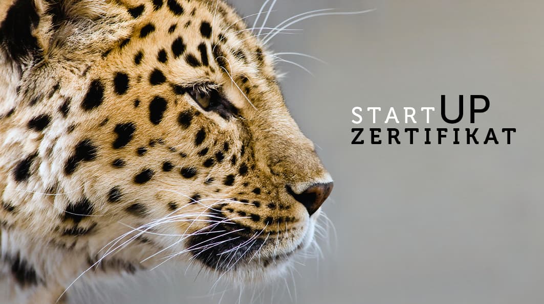 Zertifikat für die Gründung Eures eigenen Startups