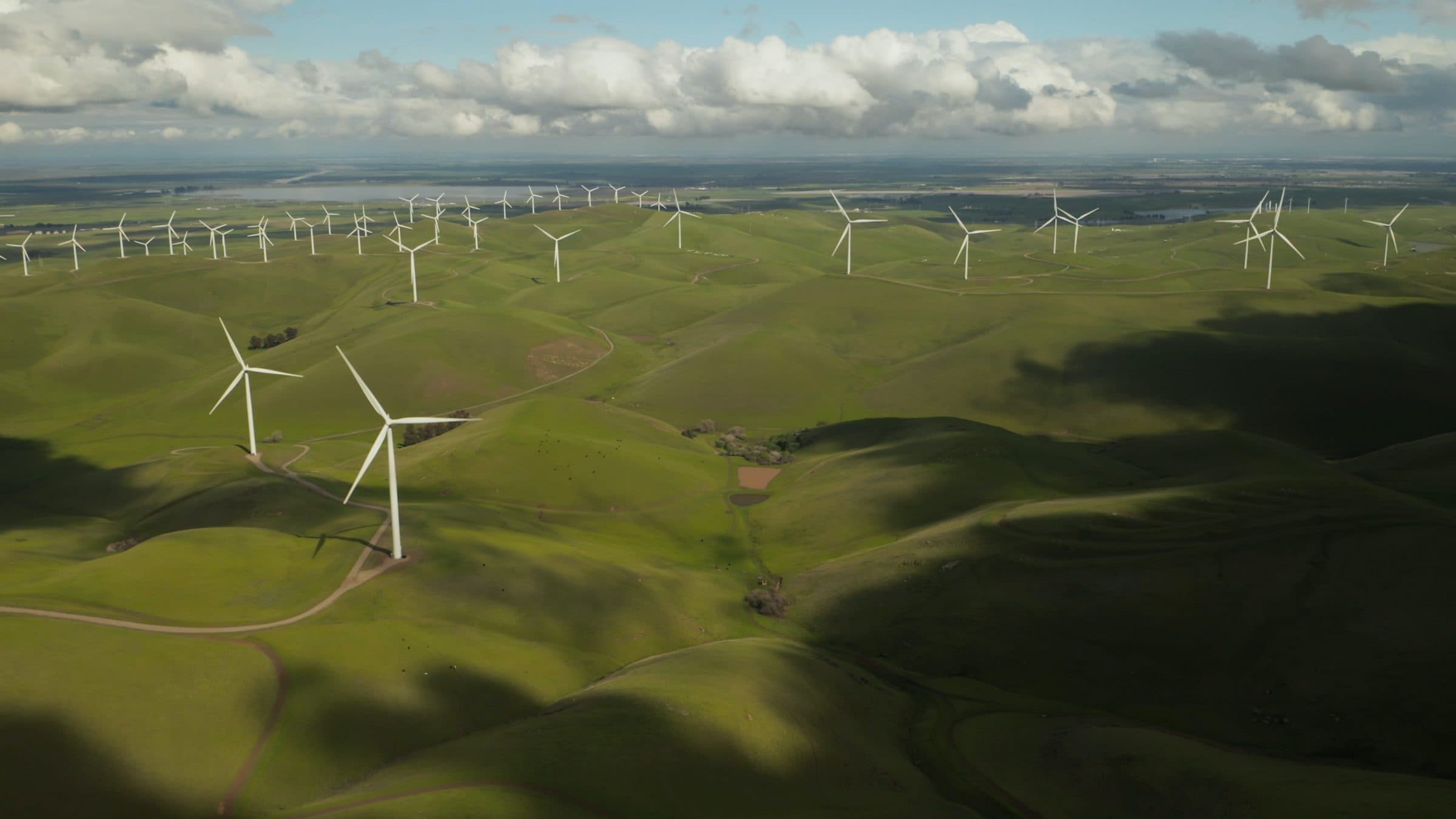 Samsung for Impact: Startups für den European Green Deal