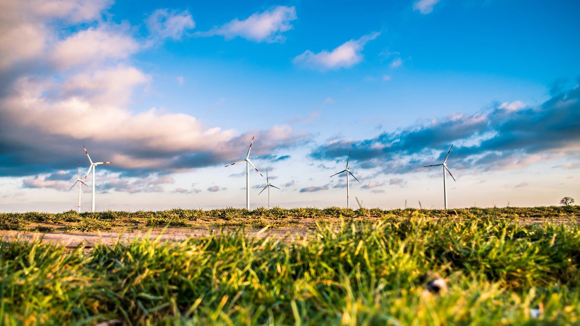 Der Bavarian Green Technologies Congress sucht Startups