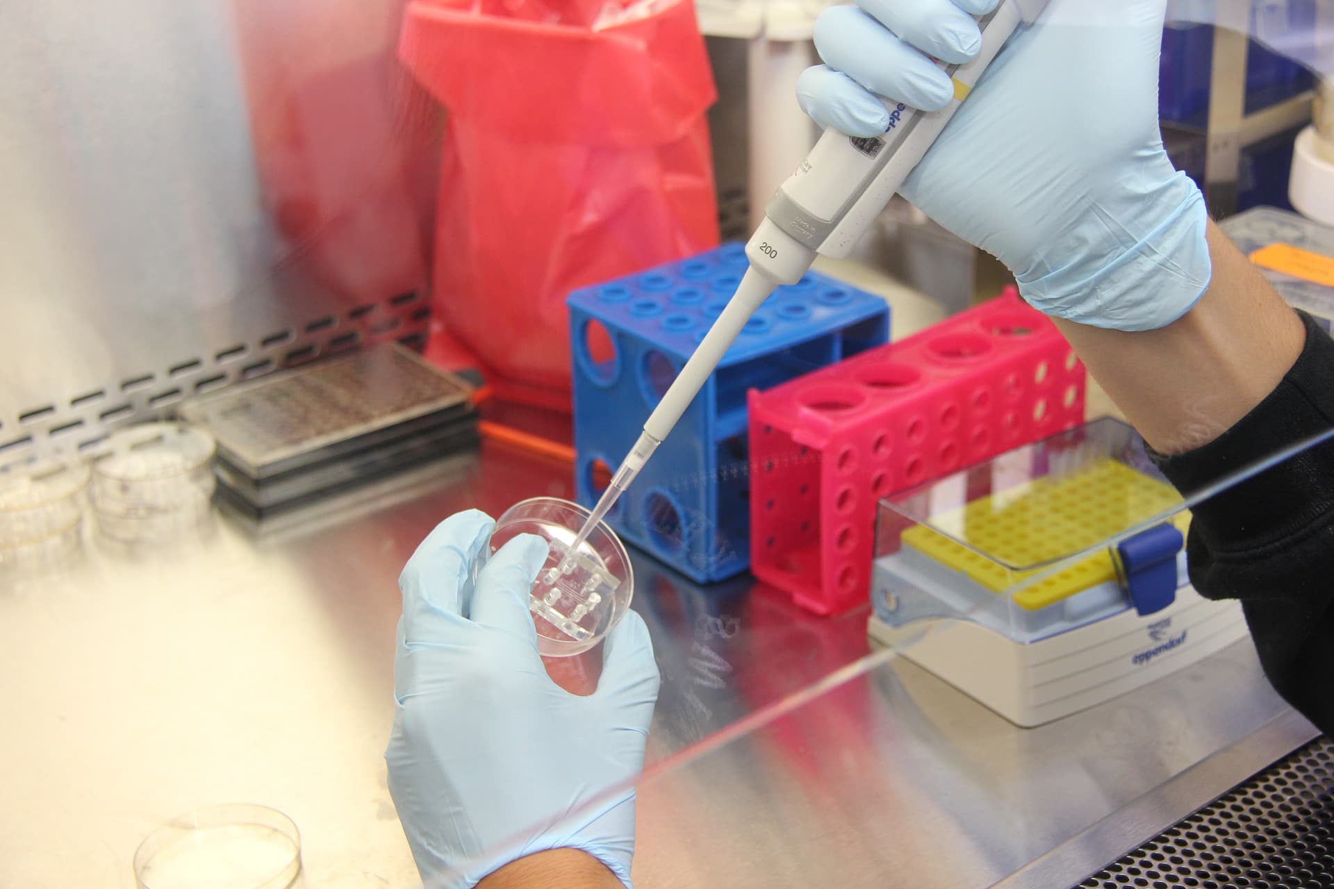 Jetzt noch für das Biotech Bootcamp von BioM bewerben