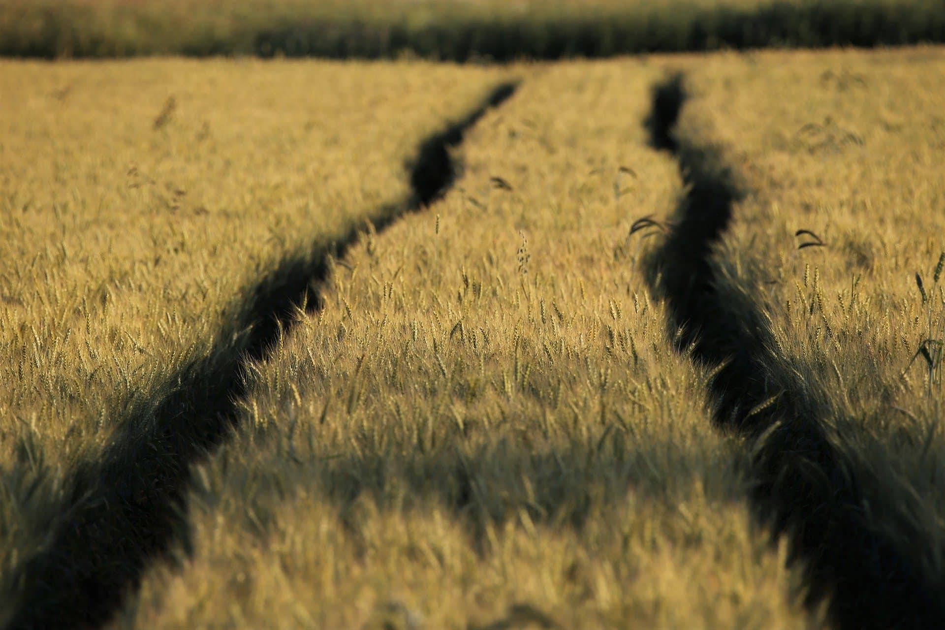 Future Agro Challenge sucht Startup des Jahres