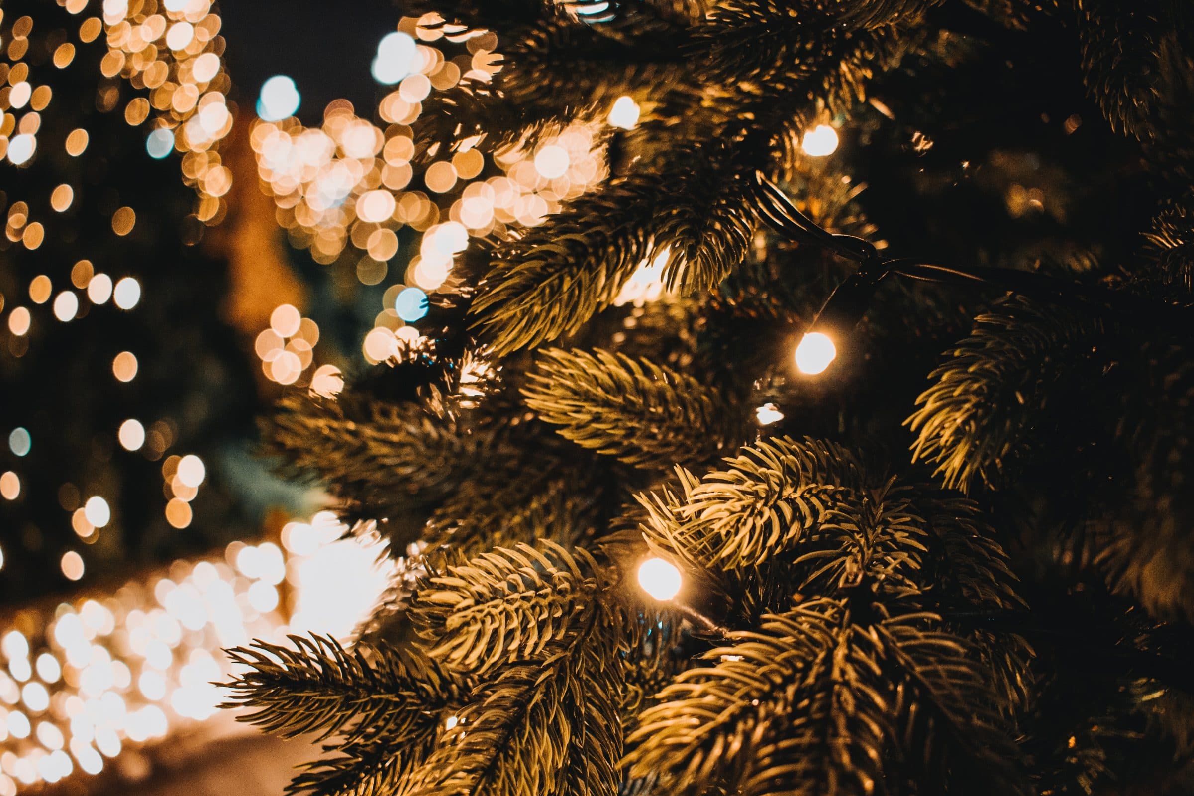 Frohe Weihnachten