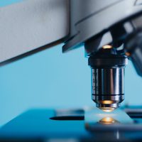 Deutscher Biotechnologie-Report 2019 Biotech